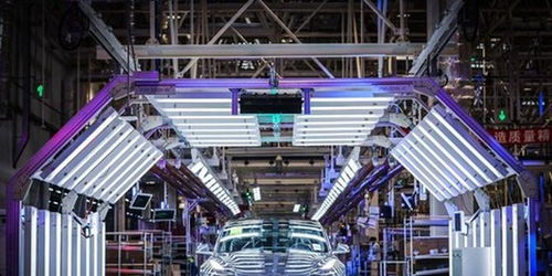 蔚來失守，誰能阻擋特斯拉的鐵蹄？